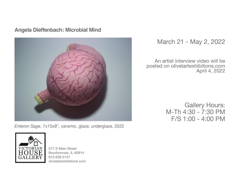 Microbial Mind: Angela Dieffenbach, solo show, ceramics, Chicago, brain gut connection, stomach brain, sculpture